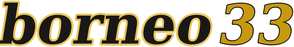 borneo33 logo